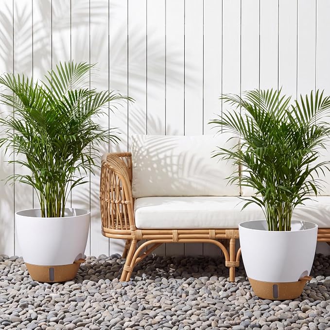 Ecolley Self-Watering Pots for Indoor Plants 3 Pack, 8/10/12 Inch Outdoor Planters with Water Level Indicator & Deep Reservoir, Decorative Flower Pots for Home Decor (White, 8+10+12 Inch) | Water Level Indicator, Deep Reservoir, Outdoor Planters, Decor...