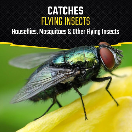 Black Flag Fly Paper 4 Traps, Catches All Flying Insects, 24 Pack