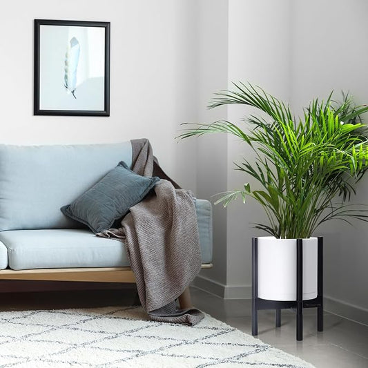 D'vine Dev Plastic Pot with Ebony Wood Stand, White, 10 in, 55-C-N-1 | Mid-Century Inspired Design, Elevated Plant Display, Clean Lines, Sturdy Support, Modern Space-Saving Style