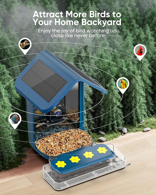 Bird Feeder with Camera Solar Powered : Smart Camera Bird Feeder 2K Live Feed Cam for Outdoor Backyard - Ai Identify Auto Capture Videos Pictures, Gifts for Birdlover Mom Dad, 2.5GHz WiFi