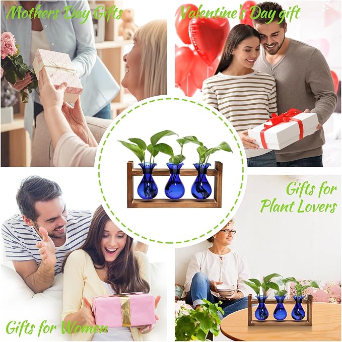 Plant Propagation Station Plant Terrarium Unique Birthday Gifts for Women | Plant Lovers Home Office Decor Planter with Wooden Stand - 3 Bulb Glass Vase