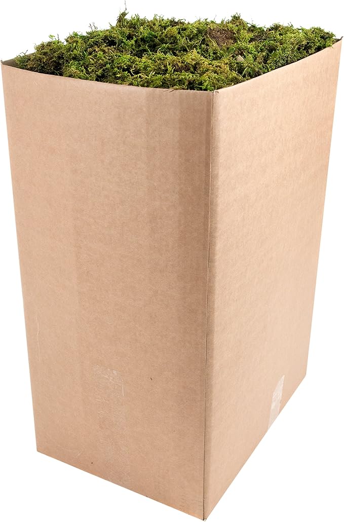 SuperMoss (22168 Sheet Moss Mini, Fresh Green, 10lbs | Shredded, Preserved