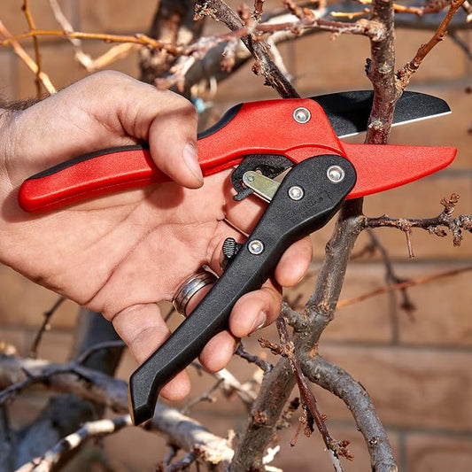 Corona Tools Ratchet Hand Pruner – 3/4-Inch Cut Capacity Garden Pruning Shears for Stems & Branches, Heavy-Duty Ratcheting Hand Pruners with Comfortable Grip