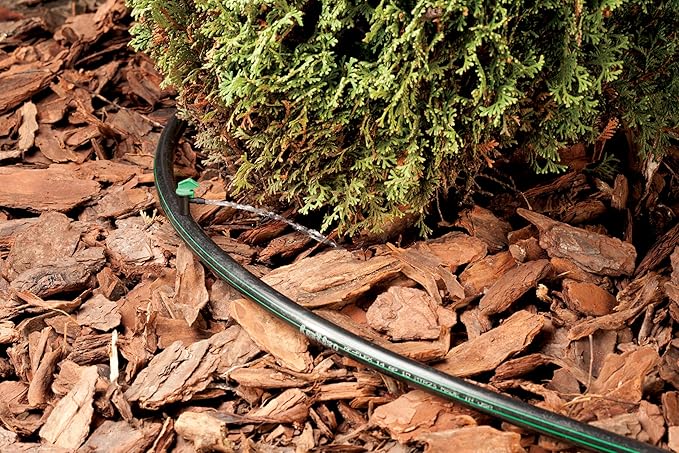 Rain Bird FE40-25S Drip Irrigation 4 Gallon Per Hour Flag Dripper/Emitter, 25-Pack