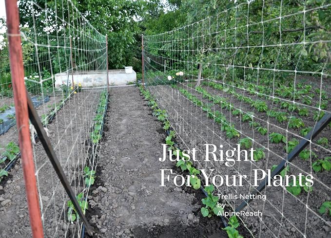AlpineReach Trellis Netting 5 x 350 ft Heavy Duty Polyester White - 6 Inch Mesh Support Twine for Growing High Yield Tomatoes, Peas, Vine Climbing Plants Fruits Vegetables