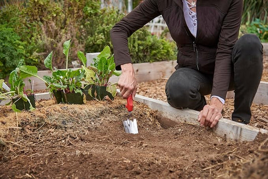Corona Tools Premium Stainless Steel ComfortGEL Garden Trowel – 13-1/2-Inch Heavy-Duty Hand Trowel for Digging, Planting & Transplanting