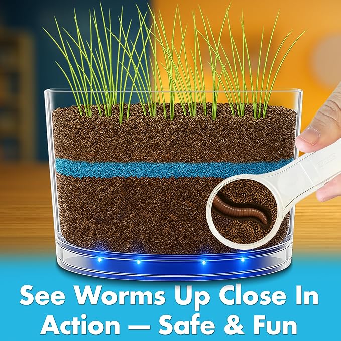 ES EVVIVA SCIENCES Worm Habitat Kit - Transparent Ecosystem Learning Container for Worm Observation and Soil Layer Studies - Composting Science Projects and Lab Use - Intended for Ages 15 & Older