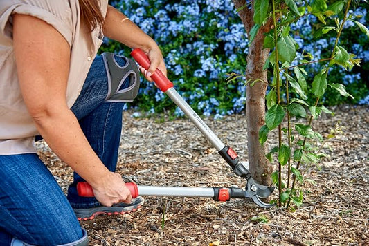 Corona SL 3364 ComfortGEL Extendable Bypass Lopper, 1-1/2 Inch Cut