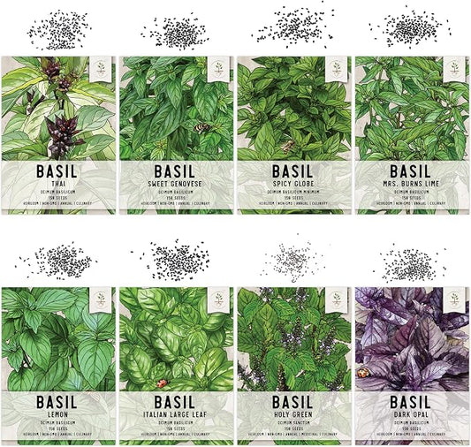 Seed Needs Basil Seeds Variety Pack of 8 Herbs for an Indoor Outdoor Garden