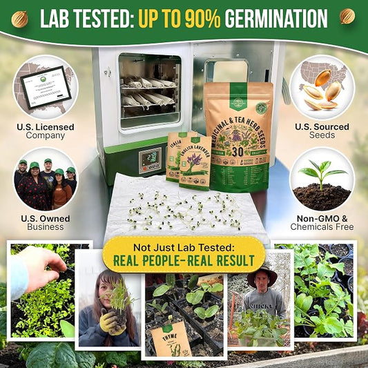 Organo Republic 30 Medicinal & Tea Herb Seeds Variety Pack 15,560+ Non-GMO Heirloom Garden Seeds for Indoor & Outdoors, Including Anise, Bergamot, Borage, Cilantro, Chamomile, Dandelion Seeds
