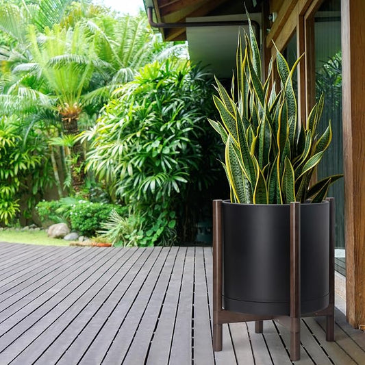 D'vine Dev Plastic Pot with Walnut Wood Stand, Black, 16 in, 55-C-X-2 | Mid-Century Inspired Design, Elevated Plant Display, Clean Lines, Sturdy Support, Modern Space-Saving Style