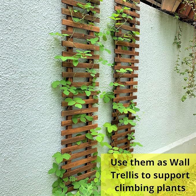 ShopLaLa Wall Planter (90cm, 2 Pack) Hanging Planters for Indoor Plants | Air Plant Succulent Holder, Plant Stand, Vertical Garden Large Stylish Wall Decor for Living Room, Room Decor for Teens
