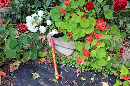 15 Inch Forged Weeding Hoe
