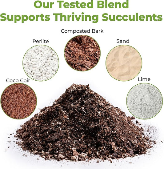All Natural Succulent and Cactus Soil Mix by Perfect Plants | Made in the USA | 4 Quarts for All Succulent Varieties | Formulated for Proper Drainage