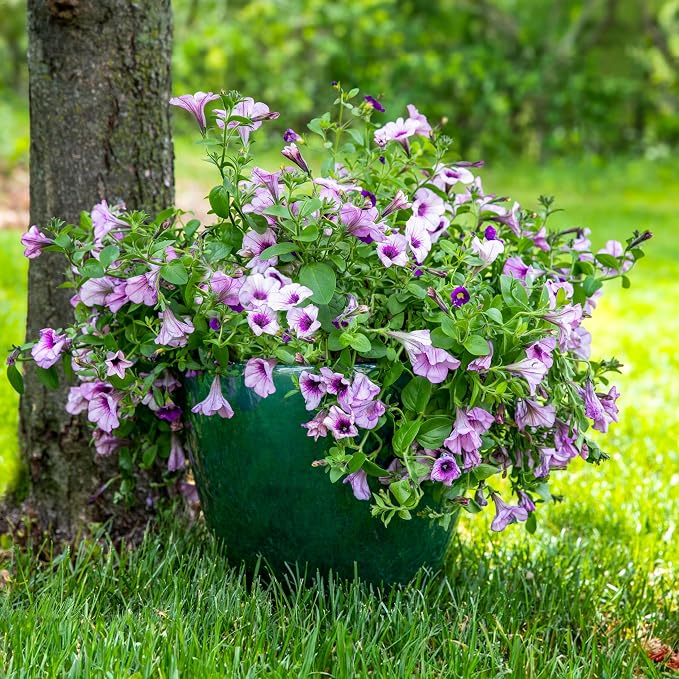 Sunnydaze Large Ceramic Plant Pot - Round Outdoor Glazed Ceramic Planter Pot with Drainage - Resort - Dark Green - 14.5"