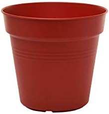 Mintra Garden Pots, 4 Pack Bulk Plastic Plant Pots with Drainage Tray, Round Indoor & Outdoor Decorative Planters with Drain Holes for Flowers, Herbs & Plants, 11cm Diameter – Burgundy, 4.3 in