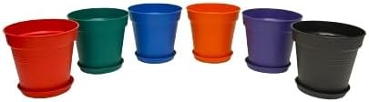 Mintra Garden Pots, 6 Pack Bulk Plastic Plant Pots with Drainage Tray, Round Indoor & Outdoor Decorative Planters with Drain Holes for Flowers, Herbs & Plants, 13cm Diameter – Assorted, 5 in