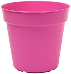 Mintra Garden Pots, 4 Pack Bulk Plastic Plant Pots with Drainage Tray, Round Indoor & Outdoor Decorative Planters with Drain Holes for Flowers, Herbs & Plants, 13cm Diameter – Fuchsia, 5 in