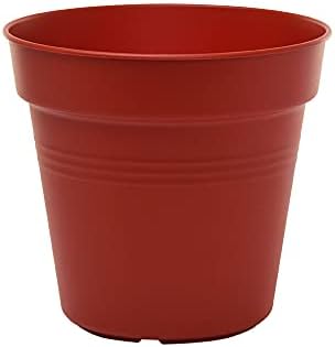 Mintra Garden Pots, 4 Pack Bulk Plastic Plant Pots with Drainage Tray, Round Indoor & Outdoor Decorative Planters with Drain Holes for Flowers, Herbs & Plants, 17cm Diameter – Burgundy, 6.6 in