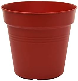 Mintra Garden Pots, 4 Pack Bulk Plastic Plant Pots with Drainage Tray, Round Indoor & Outdoor Decorative Planters with Drain Holes for Flowers, Herbs & Plants, 15cm Diameter – Burgundy, 5.9 in