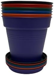 Mintra Garden Pots, 6 Pack Bulk Plastic Plant Pots with Drainage Tray, Round Indoor & Outdoor Decorative Planters with Drain Holes for Flowers, Herbs & Plants, 19cm Diameter – Assorted, 7.5 in