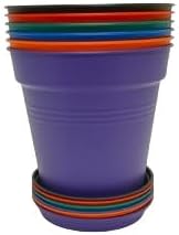 Mintra Garden Pots, 6 Pack Bulk Plastic Plant Pots with Drainage Tray, Round Indoor & Outdoor Decorative Planters with Drain Holes for Flowers, Herbs & Plants, 17cm Diameter – Assorted, 6.6 in
