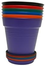 Mintra Garden Pots, 6 Pack Bulk Plastic Plant Pots with Drainage Tray, Round Indoor & Outdoor Decorative Planters with Drain Holes for Flowers, Herbs & Plants, 13cm Diameter – Assorted, 5 in