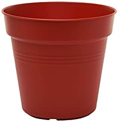 Mintra Garden Pots, 4 Pack Bulk Plastic Plant Pots with Drainage Tray, Round Indoor & Outdoor Decorative Planters with Drain Holes for Flowers, Herbs & Plants, 13cm Diameter – Burgundy, 5 in