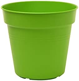 Mintra Garden Pots, 4 Pack Bulk Plastic Plant Pots with Drainage Tray, Round Indoor & Outdoor Decorative Planters with Drain Holes for Flowers, Herbs & Plants, 13cm Diameter – Light Green, 5 in