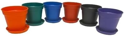 Mintra Garden Pots, 6 Pack Bulk Plastic Plant Pots with Drainage Tray, Round Indoor & Outdoor Decorative Planters with Drain Holes for Flowers, Herbs & Plants, 11cm Diameter – Assorted, 4.3 in