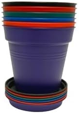 Mintra Garden Pots, 6 Pack Bulk Plastic Plant Pots with Drainage Tray, Round Indoor & Outdoor Decorative Planters with Drain Holes for Flowers, Herbs & Plants, 15cm Diameter – Assorted, 5.9 in