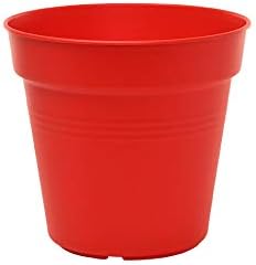 Mintra Garden Pots, 4 Pack Bulk Plastic Plant Pots with Drainage Tray, Round Indoor & Outdoor Decorative Planters with Drain Holes for Flowers, Herbs & Plants, 11cm Diameter – Red, 4.3 in
