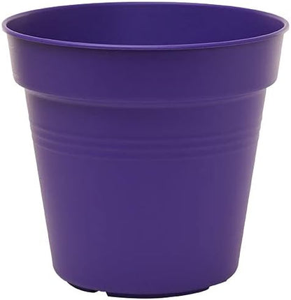 Mintra Garden Pots, 4 Pack Bulk Plastic Plant Pots with Drainage Tray, Round Indoor & Outdoor Decorative Planters with Drain Holes for Flowers, Herbs & Plants, 13cm Diameter – Purple, 5 in