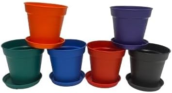 Mintra Garden Pots, 6 Pack Bulk Plastic Plant Pots with Drainage Tray, Round Indoor & Outdoor Decorative Planters with Drain Holes for Flowers, Herbs & Plants, 11cm Diameter – Assorted, 4.3 in