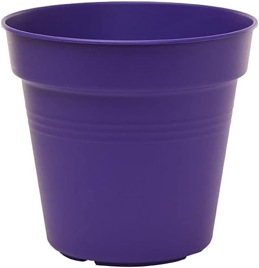 Mintra Garden Pots, 4 Pack Bulk Plastic Plant Pots with Drainage Tray, Round Indoor & Outdoor Decorative Planters with Drain Holes for Flowers, Herbs & Plants, 15cm Diameter – Purple, 5.9 in
