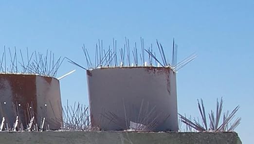 Bird-X Stainless Steel Bird Spikes, 8-inch Extra-Wide Spikes, Bird Spikes for Pigeons and Other Small Birds, Easy to Install, Contains 2 ft. Strips, Covers 24 Linear Feet Area, EWS-24
