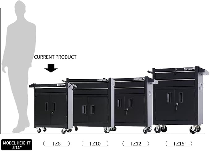 1 Drawer Tool Chest Heavy Duty Cart Steel Rolling Tool Box with Lockable Doors (TZ8 Black)