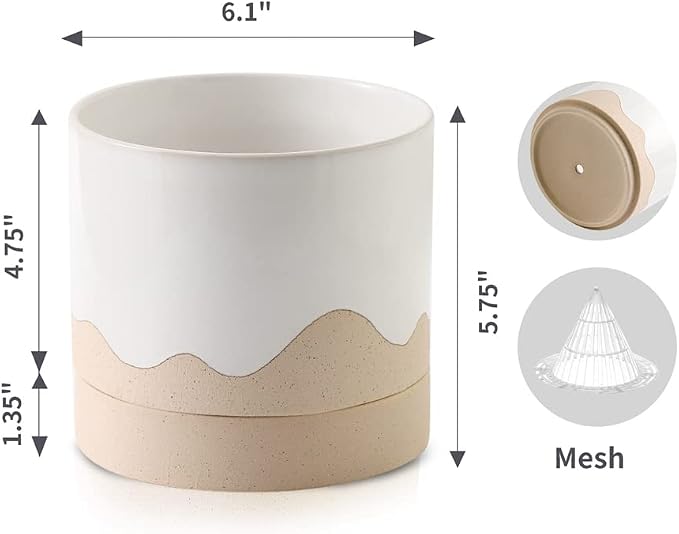 Nihow Ceramic Plant Pot,6 Inch Planter with Drainage Hole&Saucer for Indoor | White & Nature,Indoor & Outdoor, Cylinder Round Flower Pot, For Succulent/Herbs/Violets