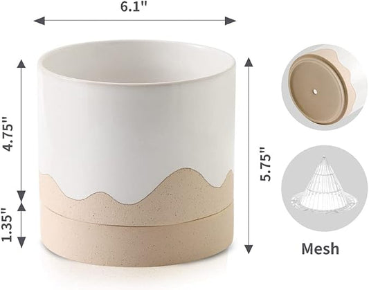 Nihow Ceramic Plant Pot,6 Inch Planter with Drainage Hole&Saucer for Indoor | White & Nature,Indoor & Outdoor, Cylinder Round Flower Pot, For Succulent/Herbs/Violets