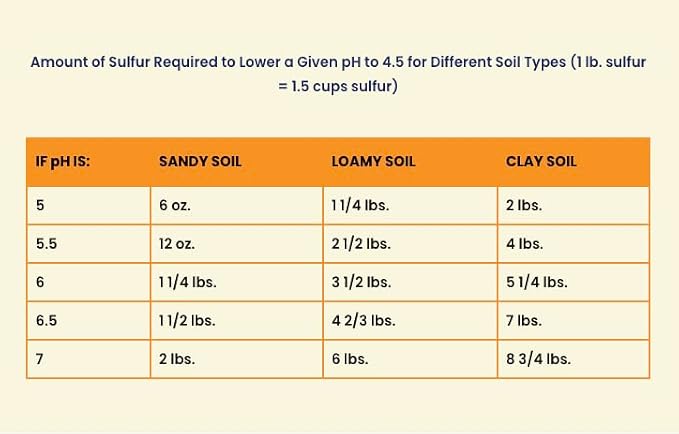 True Organic Prilled Sulfur – Organic Fertilizer for Better Plant Growth, Flowers, Vegetables, and Herbs – Lowers Soil pH – 5lb Bag Covers 1,333 Sq. Ft.