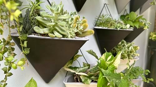 LaLaGreen Indoor Wall Planter (12in, 2 Pack) Black Self Watering Flower Pot | Large Geometric Hanging Vase Vessel with Metal Hanger, Modern Stylish Wall Mounted Succulent Pot Holder Decor
