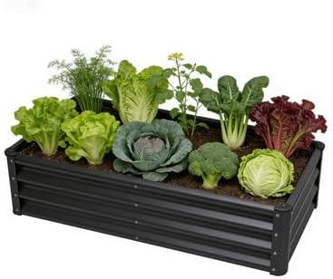 Raised Garden Bed 2 Pack 6x3x1FT, Premium Galvanized Raised Garden Bed, Large Raised Garden Beds Outdoor for Deep-Rooted Vegetables, Flowers, Green and Herbs, Black