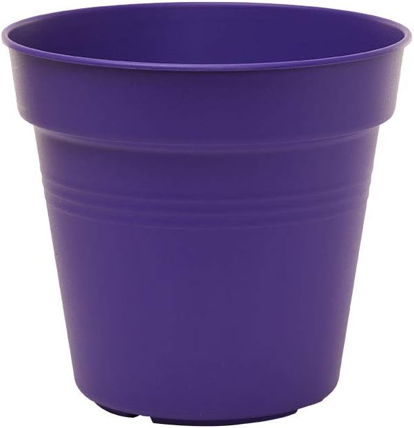 Mintra Garden Pots, 4 Pack Bulk Plastic Plant Pots with Drainage Tray, Round Indoor & Outdoor Decorative Planters with Drain Holes for Flowers, Herbs & Plants, 17cm Diameter – Purple, 6.6 in