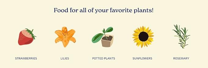 True Organic All Purpose Plant Food – Organic Fertilizer for Fruits, Vegetables, Flowers, and Herbs – 4.5lb Jug Covers 97 sq. ft.- Case of 6