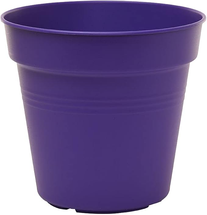Mintra Garden Pots, 4 Pack Bulk Plastic Plant Pots with Drainage Tray, Round Indoor & Outdoor Decorative Planters with Drain Holes for Flowers, Herbs & Plants, 19cm Diameter – Purple, 7.5 in