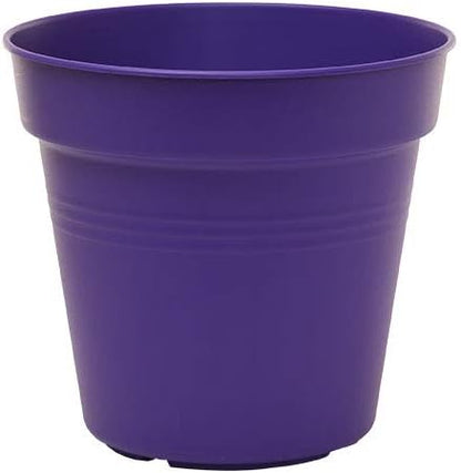 Mintra Garden Pots, 4 Pack Bulk Plastic Plant Pots with Drainage Tray, Round Indoor & Outdoor Decorative Planters with Drain Holes for Flowers, Herbs & Plants, 11cm Diameter – Purple, 4.3 in