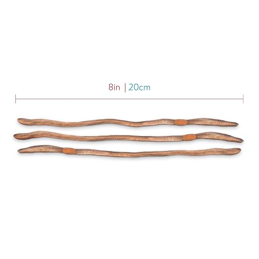 Anatomy Lab Preserved Earthworm Specimens for Dissection | Worm Dissection for Biology Classroom, Large 8-10 Inches, Vacuum Packed, 100 pack