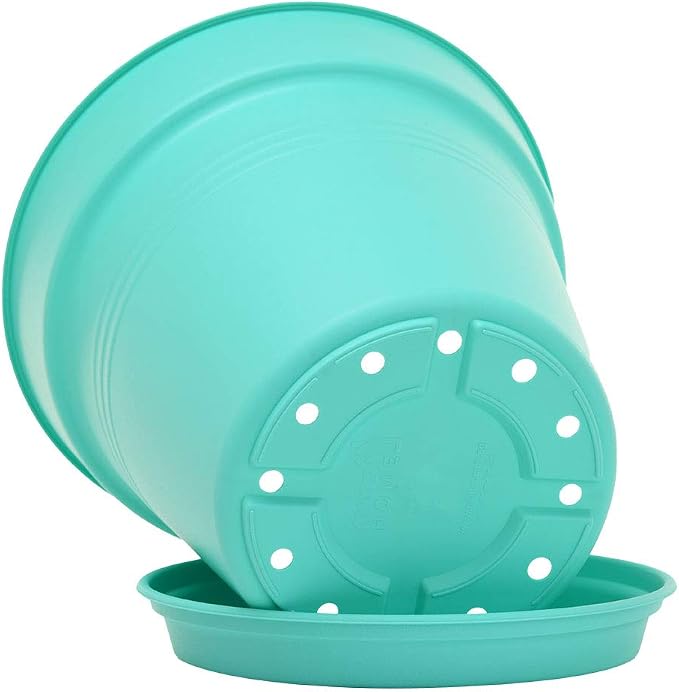 Mintra Garden Pots, 4 Pack Bulk Plastic Plant Pots with Drainage Tray, Round Indoor & Outdoor Decorative Planters with Drain Holes for Flowers, Herbs & Plants, 17cm Diameter – Teal, 6.6 in