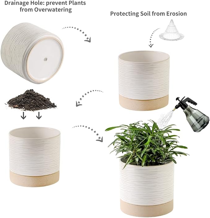 Nihow Ceramic Plant Pot,6 Inch Planter with Drainage Hole&Saucer for Indoor | Cream White & Brown,Indoor & Outdoor, Cylinder Round Flower Pot, For Succulent/Herbs/Violets