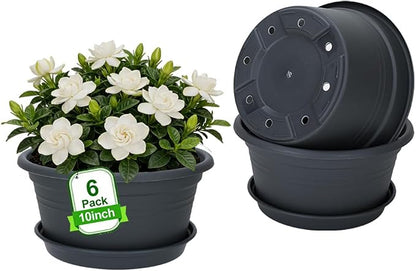 MRPAPA 10 Inch Plastic Pots 6 Pack Outdoor Round Planters with Drainage Hole & Tray Saucer, Lightweight Indoor Flower Decoration Pots for Home,Patio & Garden (Dark Grey)